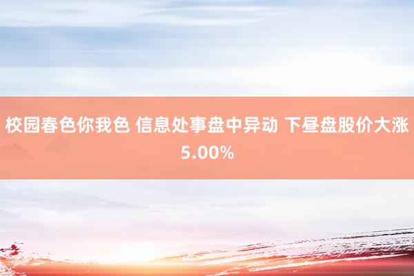 校园春色你我色 信息处事盘中异动 下昼盘股价大涨5.00%