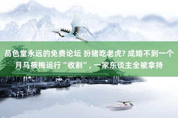 品色堂永远的免费论坛 扮猪吃老虎? 成婚不到一个月马筱梅运行